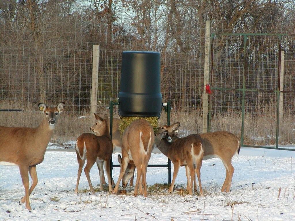 Deerstore Easy Load Hay Feeder