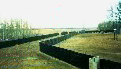 AlleywayDeerPen