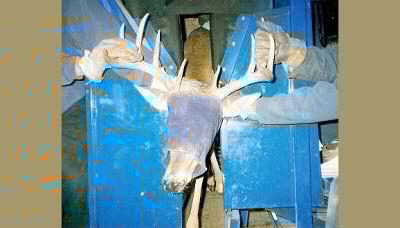 BlueChute